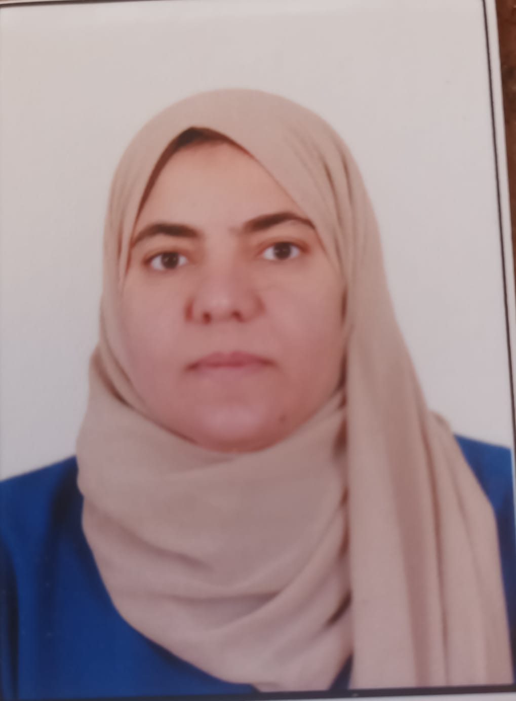 heba ahmed mohammed mokhtar